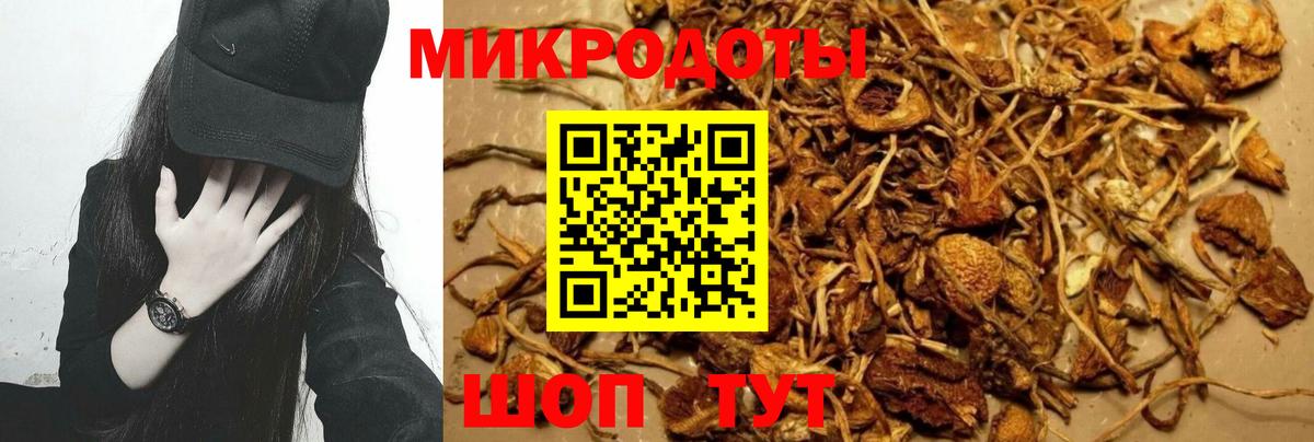 Галлюциногенные грибы Magic Shrooms Кубинка
