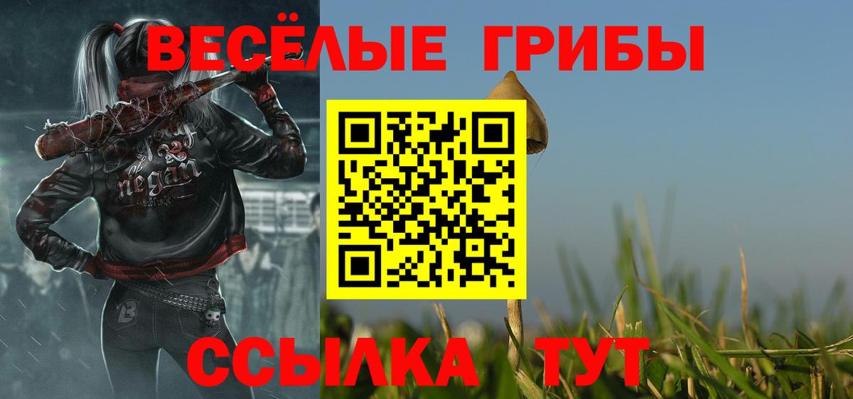Псилоцибиновые грибы MAGIC MUSHROOMS  Вход с VPN  Кубинка 